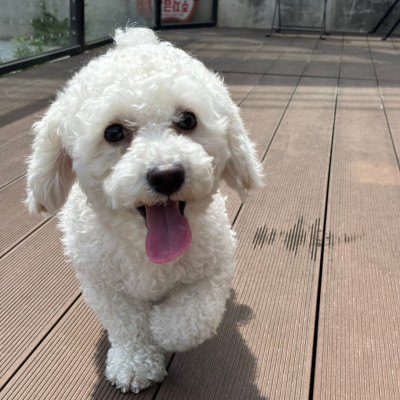 보호자를 찾습니다!!