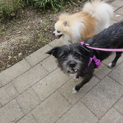 즐거운 아침 산책!