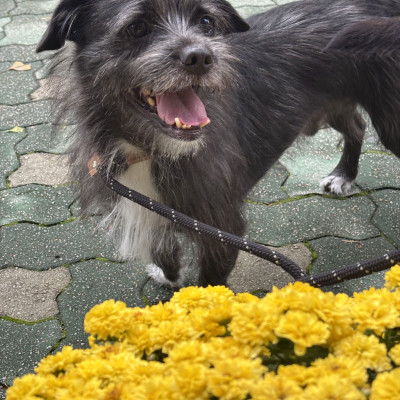 사랑둥이 후추 ♥