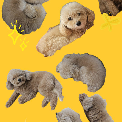 누네, 띠네 우리는 언제나 하나❤️