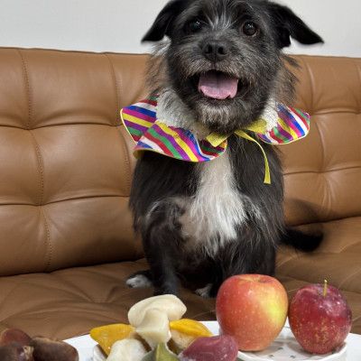 햅삐 한가위 ♥