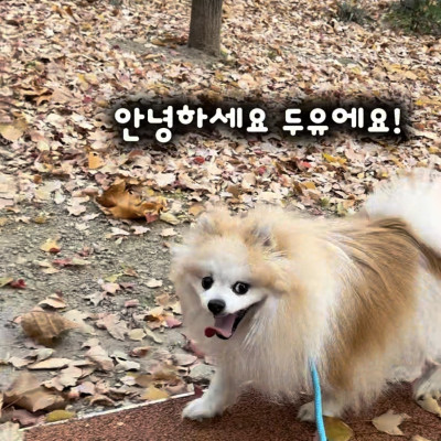 이상형(?) 발견한 두유