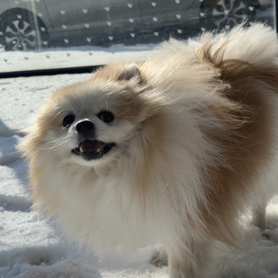 올해도 모두 행복하세여