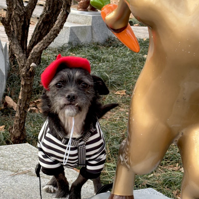 2026년 병오년이 밝았어요・ᴗ・✧