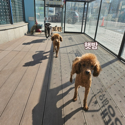 즐거운 테라스 피크닉 ♥