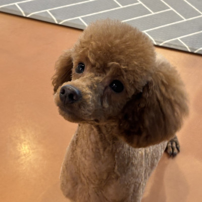 토란이 소개 ♥